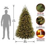 7.5ft Pre-Lit Dunhill Fir Christmas Tree