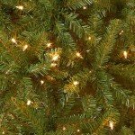 Pre-Lit Mini Dunhill Fir Christmas Tree - 4 Feet