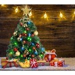 22" Mini Christmas Tree with LED Lights & Star