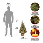 Pre-lit Mini Snowy Christmas Tree with LED Lights