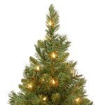 Majestic Fir Pre-lit Mini Christmas Tree - 2 ft