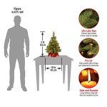 Majestic Fir Pre-lit Mini Christmas Tree - 2 ft