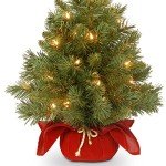 Majestic Fir Pre-lit Mini Christmas Tree - 2 ft