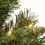 Majestic Fir Pre-lit Mini Christmas Tree - 2 ft