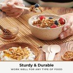 Disposable Wooden Spoons Set of 250 pcs – Biodegradable Utensils, Eco–Friendly & Compostable Disposable Cutlery – Perfect for Parties, Events & Catering - Wooden Spoons Disposable Wooden Cutlery