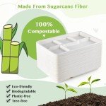 ECOLipak 100% Compostable 5 Compartment Plates, 100 Pack Disposable Compartment Paper Plates, 12.5 * 8.6 inch Biodegradable Sugarcane Plates, Eco-Friendly School Lunch Trays