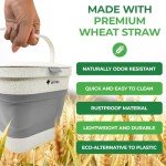 AIRNEX Collapsible Compost Bin Kitchen Counter Caddy - 1 Gallon Countertop Compost Bin with Lid Made of Wheat Straw - Odorless Kitchen Compost Bin Countertop with 20 Compost Bags and 2 Carbon Filters