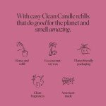 Siblings Essentials, Candle Refill Kit, DIY Candle Kit (No 08: Honeysuckle, Peony, Amber) - Eco-Friendly Candle Refill, Clean Fragrance and Essential Oils, Coconut and Soy Wax