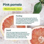 ATTITUDE Dishwashing Liquid, EWG Verified, Vegan Dish Soap, Plant Based, Naturally Derived Products, Pink Grapefruit, Bulk Refill, 67.6 Fl Oz (Pack of 4)