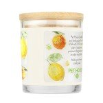 One Fur All - 100% Natural Soy Wax, 20 Fragrances - Odor Eliminator, Appx 60 Hrs Burn Time, Non-Toxic, Reusable Glass Jar Scented Candles – Pet House Candle, Fresh Citrus