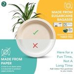 ECO SOUL 100% Compostable 6 Inch Small Paper Plates (100-Pack) Disposable Party Heavy Duty, Eco-Friendly, Appetizer, Dessert, Wedding Plates I Biodegradable Unbleached Sugarcane Eco Plates