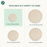 ECO SOUL 100% Compostable 6 Inch Small Paper Plates (100-Pack) Disposable Party Heavy Duty, Eco-Friendly, Appetizer, Dessert, Wedding Plates I Biodegradable Unbleached Sugarcane Eco Plates