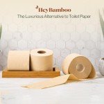 12 - HeyBamboo 100% Bamboo 3-Ply Toilet Paper, Unbleached, Non Toxic, 24 Double Rolls, 360 Sheets, FSC Certified, Soft & Strong, Pack of 24, Plastic-Free