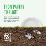 100% Compostable Paper Plates 9 Inch [500 Count] Heavy-Duty Dinner Plates - Natural White Color Unbleached Bagasse - Eco-Friendly Disposable Biodegradable Sugarcane Plates - [Bulk Case 4/125 Pack]