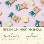 Natural Dishwasher Detergent Tablets - Plant Based Alternative Refill Pack Dishwashing Tabs - Eco-Friendly And Plastic Free Way To Cleaner Dishes - 30/60/90 Refills Dish Washer Soap Pods (60 Pack)