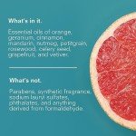 Public Goods Hand Soap | Cleansing Soap for Kitchen & Bathroom | Made with Natural Essential Oils | Paraben & Sulfate Free | Vegan Friendly | Made in Canada | 12 Fl Oz Bottle with Dispenser Pump