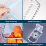 TRBIDRBO 2600 ML /88oz/ 11 Cup LARGE Glass Food Storage Container with Airtight Locking Lid for Storing food, Vegetables, Fruits Roasting Turkey Freezer Microwave & Oven Safe Leak Proof