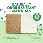 AIRNEX Natural Kitchen Sponges Pack of 20 - Biodegradable Cellulose and Coconut Husk Walnut Scrubber Sponges - Odor Free Non Scratch Sponges - Eco Friendly Quick Drying Dishwashing Sponges