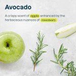 ATTITUDE Hand Soap for Sensitive Skin with Oat and Avocado Oil, EWG Verified, Dermatologically Tested, Vegan, 16 Fl Oz