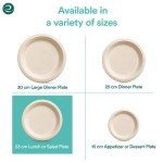 ECO SOUL Compostable 9 Inch Biodegradable Disposable Paper Plates | Eco-Friendly Dinner, Party, Wedding, Event