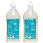 Better Life Dish Soap - Liquid Dishwashing Soap with Vitamin E and Aloe for Home & Kitchen Sink - No Gloves Required Kitchen Soap for Sensitive Skin - 22oz (Pack of 2) Lemon Mint