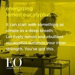 EO Liquid Hand Soap, 12 Ounce (Pack of 3), Lemon and Eucalyptus, Organic Plant-Based Gentle Cleanser with Pure Essential Oils