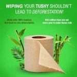 Beco Bamboo 3-Ply Toilet Paper Roll 160 Pulls Each of 6 Rolls, 100% Natural, Septic safe, Unbleached and Eco-Friendly Tissue Papers 6 Rolls Brown