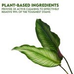 WBM Plant-Based Laundry Detergent Liquid – 34 fl oz, 50 loads total. Eco-friendly formula for powerful cleaning, gentle on fabrics, and safe for the environment