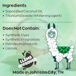 Green Llama Natural Dish Soap Bars - 4-Pack, Coconut Oil-Based, Fragrance-Free, Biodegradable Kitchen Soap | Eco-Friendly, Non-Toxic, Handmade Solid Dishwashing & Dishwasher Cleaner