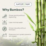 NatureZway Premium Bamboo Toilet Paper (6 Rolls) – 2 Ply, Tree-Free, 100% Bamboo Pulp – Eco-Friendly, Compostable Packaging – Clog-Free, Septic Safe, Ultra-Soft Bath Tissue