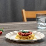 Comfy Package [9 Inch - 125 Pack Paper Plates, 100% Compostable Plates Heavy-Duty - Kraft Biodegradable Plates, Disposable Sugarcane Paper Plates - Brown Unbleached