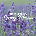 Cleancult - Wild Lavender - Moisturizing Liquid Hand Soap - Refillable Aluminum Bottle - Made with Aloe Vera & Lavender Essential Oil - Nourishes & Moisturizes Dry & Sensitive Skin - 12 oz - 1 Pack