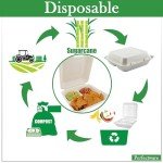 Perfectware 100% Compostable 3 Comp Take Out Food Containers 9x9. 25 Containers, Natural Disposable Bagasse, Eco-Friendly Biodegradable Made of Sugar Cane, Green (PW3comptbagasse-25ct)