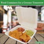 Perfectware 100% Compostable 3 Comp Take Out Food Containers 9x9. 25 Containers, Natural Disposable Bagasse, Eco-Friendly Biodegradable Made of Sugar Cane, Green (PW3comptbagasse-25ct)