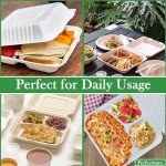 Perfectware 100% Compostable 3 Comp Take Out Food Containers 9x9. 25 Containers, Natural Disposable Bagasse, Eco-Friendly Biodegradable Made of Sugar Cane, Green (PW3comptbagasse-25ct)