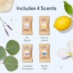 BLUELAND Hand Soap Starter Set, 1 Refillable Glass Foaming Hand Soap Dispenser with 4 Refill Tablets, Variety Scents, 4 x 9 Fl oz