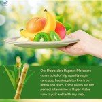 Dhaey 100% Compostable Plates 50pcs Biodegradable Free Dinnerware Set - Natural Compostable Party Combo Set With Microwave Safe Eco Plates & Utensils Natural