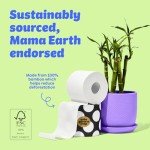 Who Gives A Crap 100% Bamboo Toilet Paper, 16 Rolls, 3 Ply, 330 Sheets, Long, Strong & Soft Toilet Tissue, Sustainable, Biodegradable, Renewable, Tree Free Bathroom Tissue Made with Bamboo Fibers