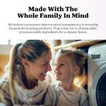 Pronounce Laundry Detergent Powder Alternative | Earth-Derived Ingredients, Eco-Friendly, Safer for Sensitive Skin, Eczema, and Babies. Stain + Smell Fighting. HE Safe (Lavender, 120 Loads).