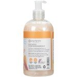 Ginger Lily Farms Botanicals Conditioning Liquid Hand Soap, Coco Mango, 100% Vegan & Cruelty-Free, Coconut Mango Scent, 12 Fl Oz