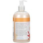Ginger Lily Farms Botanicals Conditioning Liquid Hand Soap, Coco Mango, 100% Vegan & Cruelty-Free, Coconut Mango Scent, 12 Fl Oz