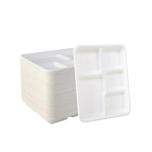 Vplus 100% Compostable 5 Compartment Plates 125 Pack Eco-Friendly Disposable Sugarcane 10 x 8 inch Bagasse School Lunch Tray Perfect for Boys and Girls