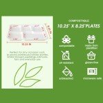 Vplus 100% Compostable 5 Compartment Plates 125 Pack Eco-Friendly Disposable Sugarcane 10 x 8 inch Bagasse School Lunch Tray Perfect for Boys and Girls