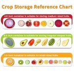 TESACOT Avocado Saver and Tomato Holder - 4 Pack of Reusable Storage Containers for Fridge - Ideal for Lemons, Onions, Garlic and Potatoes, Food Saver Set