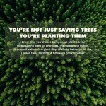 Bamboo Toilet Paper, 3-Ply & 380 Sheets, Soft & Strong Organic Bath Tissue, Chemical-Free & Hypoallergenic, Septic Safe, PFAS-Free, Tree-Free Bathroom Tissue (12 Extra-Large Rolls)