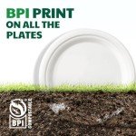 Joyborn 100% Compostable Paper Plates, 6 Inch, 125 Count, Heavy Duty Disposable Plates by Biodegradable Bagasse, Dessert Plates Bulk for Party | Microwave-Safe | Soak-Resistant, Cut Resistant
