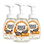 Molly's Suds Foaming Hand Soap - Made with Aloe and Coconut Oil | Moisturizing Hand Wash | Clean Ingredients, Infused with Essential Oils | Citrus Grove - 8.25 Oz (Pack of 3)