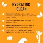 Molly's Suds Foaming Hand Soap - Made with Aloe and Coconut Oil | Moisturizing Hand Wash | Clean Ingredients, Infused with Essential Oils | Citrus Grove - 8.25 Oz (Pack of 3)
