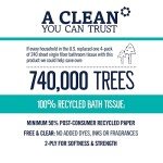 Seventh Generation Bath Tissue Toilet Paper Chlorine Free 2 Ply Toilet Paper 100% Recycled Paper 4 Count (Pack of 1)
