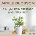 MRS. MEYER'S CLEAN DAY Vinegar Gel Cleaning Spray, Bathroom Use, No-Rinse Formula, Plant-Derived Cleaning Ingredients, Apple Blossom, 16 Fl Oz, Pack of 1